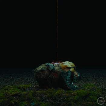Still frame 16 from STASIK — Zvir (2026) directed by Anna Buryachkova