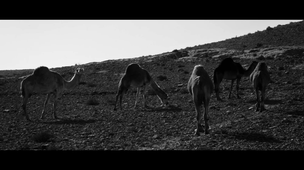 Still frame 19 from Temper City - Self Aware (2026) directed by Temper City, Tsuf Kazaz