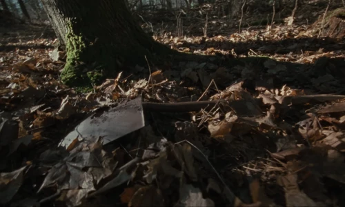 Still frame 7 from The Hives - Bogus Operandi (2023) directed by Aube Perrie