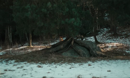 Still frame 1 from The Hives - Bogus Operandi (2023) directed by Aube Perrie