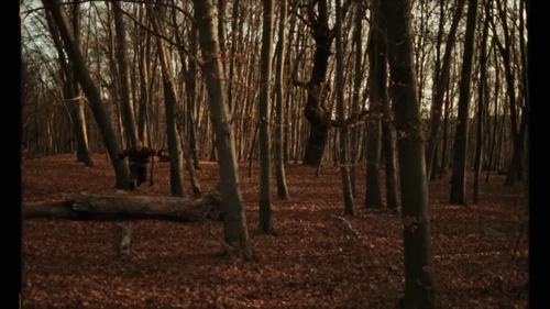 Still frame 22 from Tom Misch & Yussef Dayes - What Kinda Music (2020) directed by Douglas Bernardt