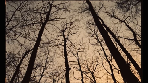 Still frame 28 from Tom Misch & Yussef Dayes - What Kinda Music (2020) directed by Douglas Bernardt