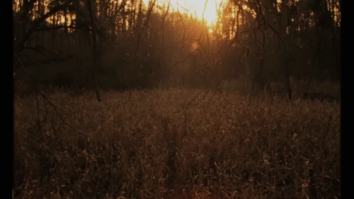 Still frame 30 from Tom Misch & Yussef Dayes - What Kinda Music (2020) directed by Douglas Bernardt