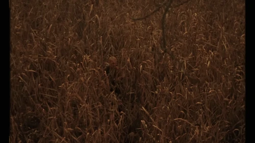 Still frame 31 from Tom Misch & Yussef Dayes - What Kinda Music (2020) directed by Douglas Bernardt