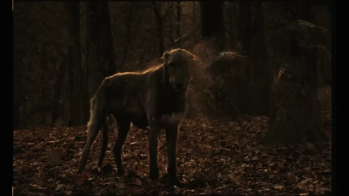 Still frame 43 from Tom Misch & Yussef Dayes - What Kinda Music (2020) directed by Douglas Bernardt