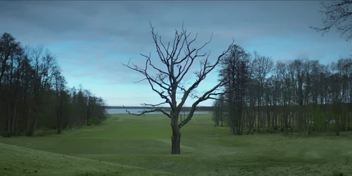 Still frame 1 from TOMMY CASH - RACKED (2021) directed by Anna Himma