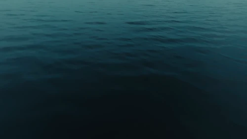 Still frame 1 from Twenty One Pilots - Overcompensate (2024)