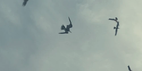 Still frame 26 from Twenty One Pilots - Paladin Strait (2024) directed by Jensen Noen
