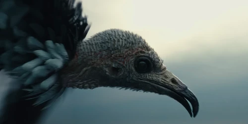 Still frame 27 from Twenty One Pilots - Paladin Strait (2024) directed by Jensen Noen