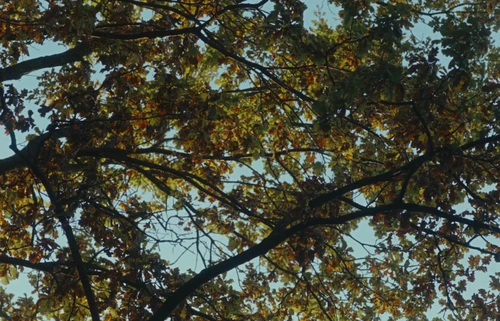Still frame 6 from Volodymyr Dantes - Ryda Voda (2024) directed by Pavel Buryak