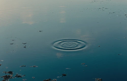 Still frame 7 from Volodymyr Dantes - Ryda Voda (2024) directed by Pavel Buryak