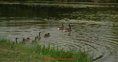 Still frame 2 from woody - let me go (2025) directed by Euan Sime