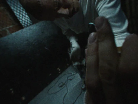 Still frame 84 from ZEP - DON'T BREAK (2026) directed by ZEP, Joachim Spruijt, Robin van Geemen 