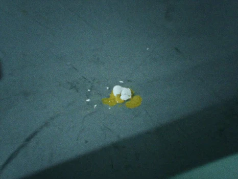 Still frame 13 from ZEP - DON'T BREAK (2026) directed by ZEP, Joachim Spruijt, Robin van Geemen 