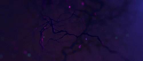 Arcane