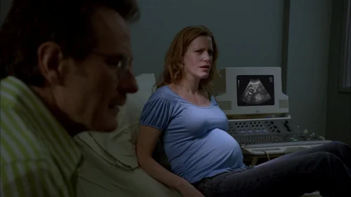 Still frame 79 from Breaking Bad Season 1 Episode 2