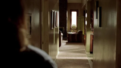 Still frame 20 from Breaking Bad Season 2 Episode 1