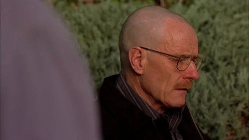 Still frame 29 from Breaking Bad Season 2 Episode 1