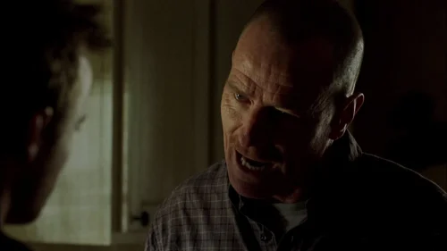 Still frame 37 from Breaking Bad Season 2 Episode 1