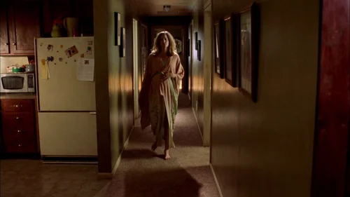 Still frame 55 from Breaking Bad Season 2 Episode 1
