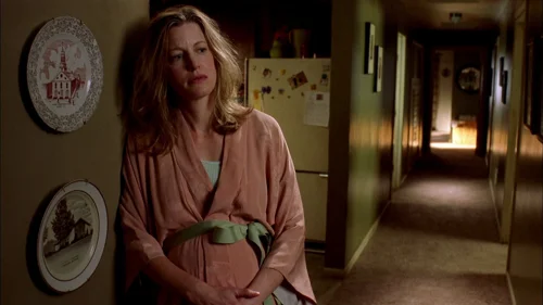 Still frame 57 from Breaking Bad Season 2 Episode 1