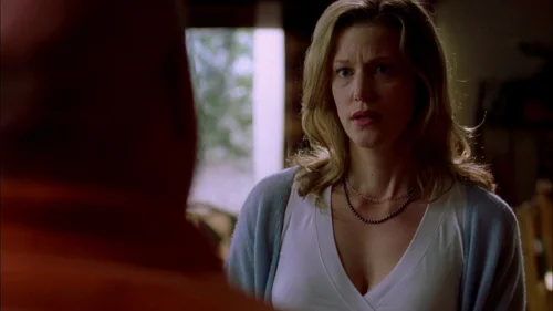 Still frame 67 from Breaking Bad Season 2 Episode 1