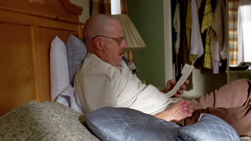 Still frame 5 from Breaking Bad Season 2 Episode 10