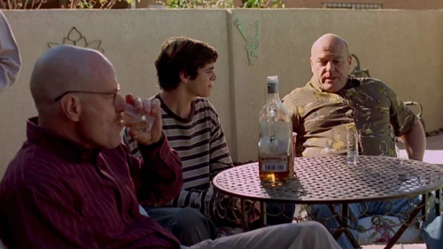 Still frame 14 from Breaking Bad Season 2 Episode 10