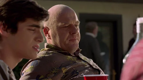 Still frame 20 from Breaking Bad Season 2 Episode 10