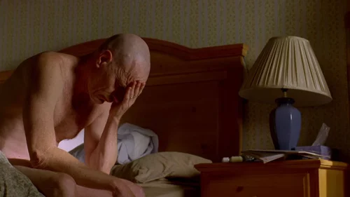Still frame 25 from Breaking Bad Season 2 Episode 10