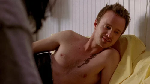 Still frame 33 from Breaking Bad Season 2 Episode 10