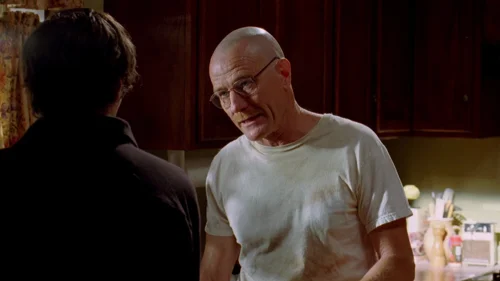 Still frame 46 from Breaking Bad Season 2 Episode 10