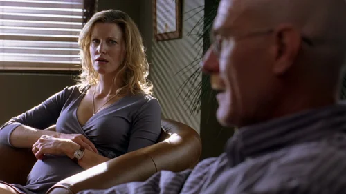 Still frame 9 from Breaking Bad Season 2 Episode 11