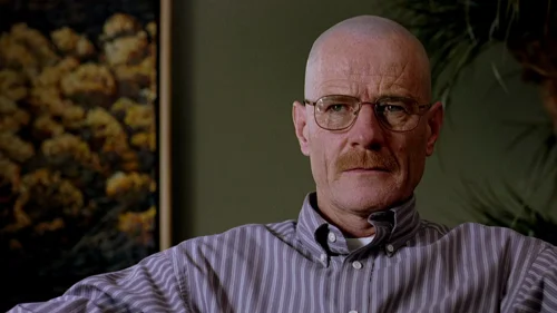 Still frame 10 from Breaking Bad Season 2 Episode 11