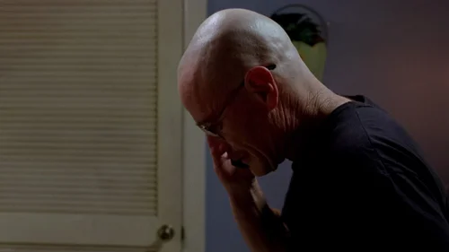 Still frame 35 from Breaking Bad Season 2 Episode 13