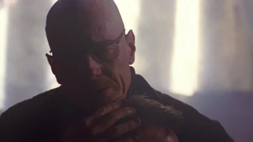 Still frame 48 from Breaking Bad Season 2 Episode 13
