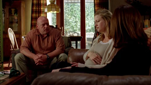 Still frame 37 from Breaking Bad Season 2 Episode 2