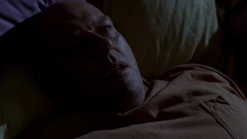 Still frame 72 from Breaking Bad Season 2 Episode 5