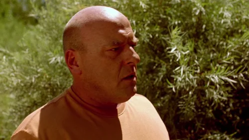 Still frame 76 from Breaking Bad Season 2 Episode 5