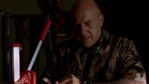 Still frame 31 from Breaking Bad Season 2 Episode 5