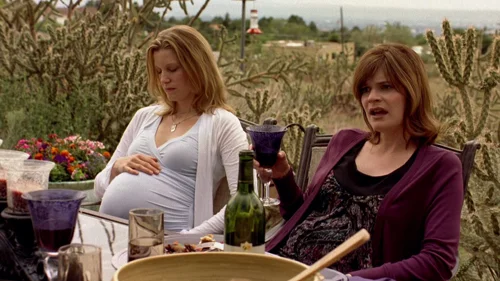 Still frame 49 from Breaking Bad Season 2 Episode 5