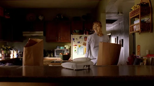 Still frame 20 from Breaking Bad Season 2 Episode 6