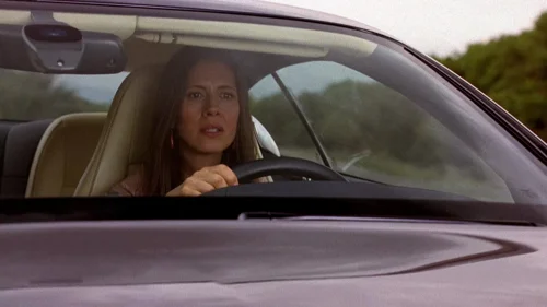 Still frame 21 from Breaking Bad Season 2 Episode 6