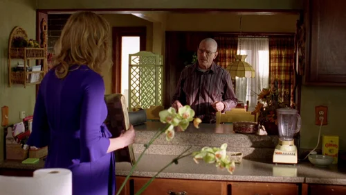 Still frame 52 from Breaking Bad Season 2 Episode 7