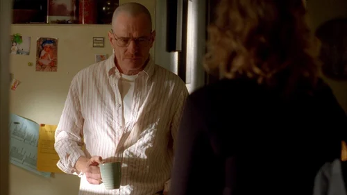 Still frame 10 from Breaking Bad Season 2 Episode 8