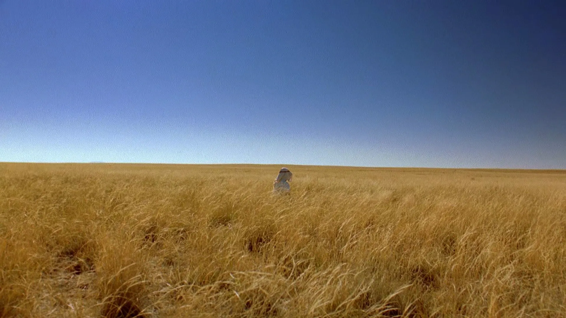 There Will Be Blood: Robert Elswit's Case for Firelight and Anamorphic Space