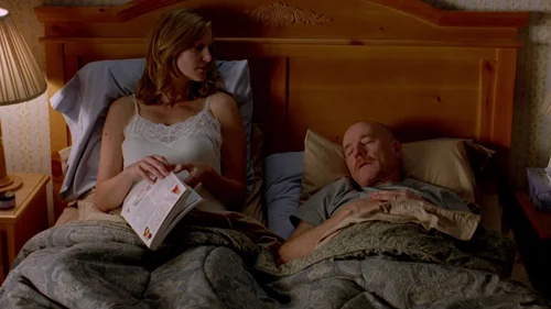 Still frame 8 from Breaking Bad Season 2 Episode 9