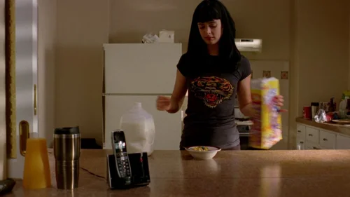 Still frame 14 from Breaking Bad Season 2 Episode 9