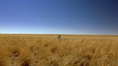 Still frame 62 from Breaking Bad Season 2 Episode 9