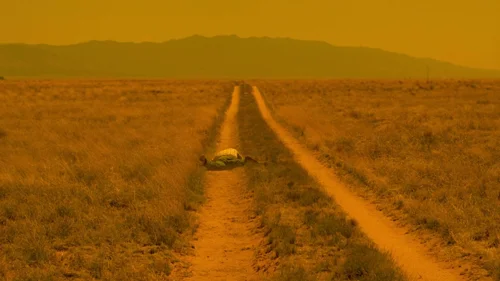 Still frame 80 from Breaking Bad Season 3 Episode 1